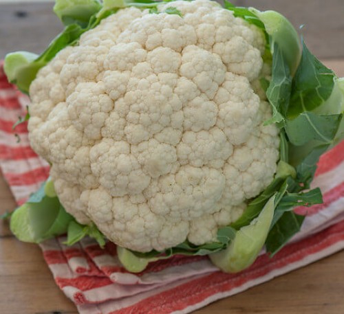 Cauliflower Letnyaya Alfa Summer Alfa 